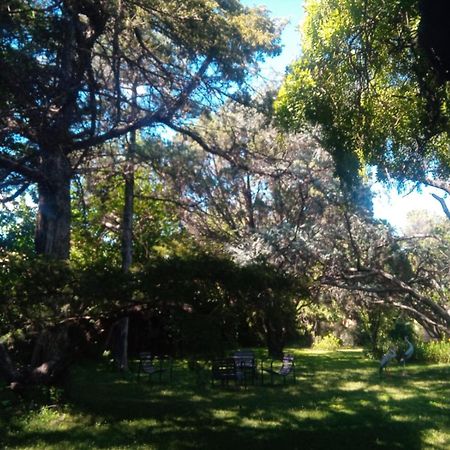 Cabana En Quinta La Aurora مينا كلافيرو المظهر الخارجي الصورة