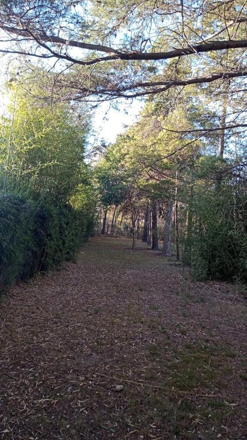 Cabana En Quinta La Aurora مينا كلافيرو المظهر الخارجي الصورة