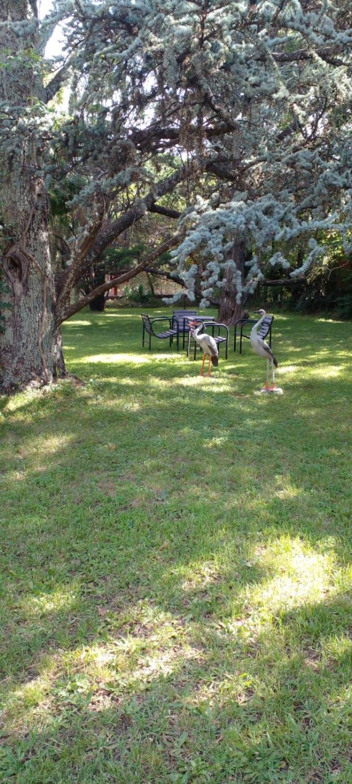 Cabana En Quinta La Aurora مينا كلافيرو المظهر الخارجي الصورة