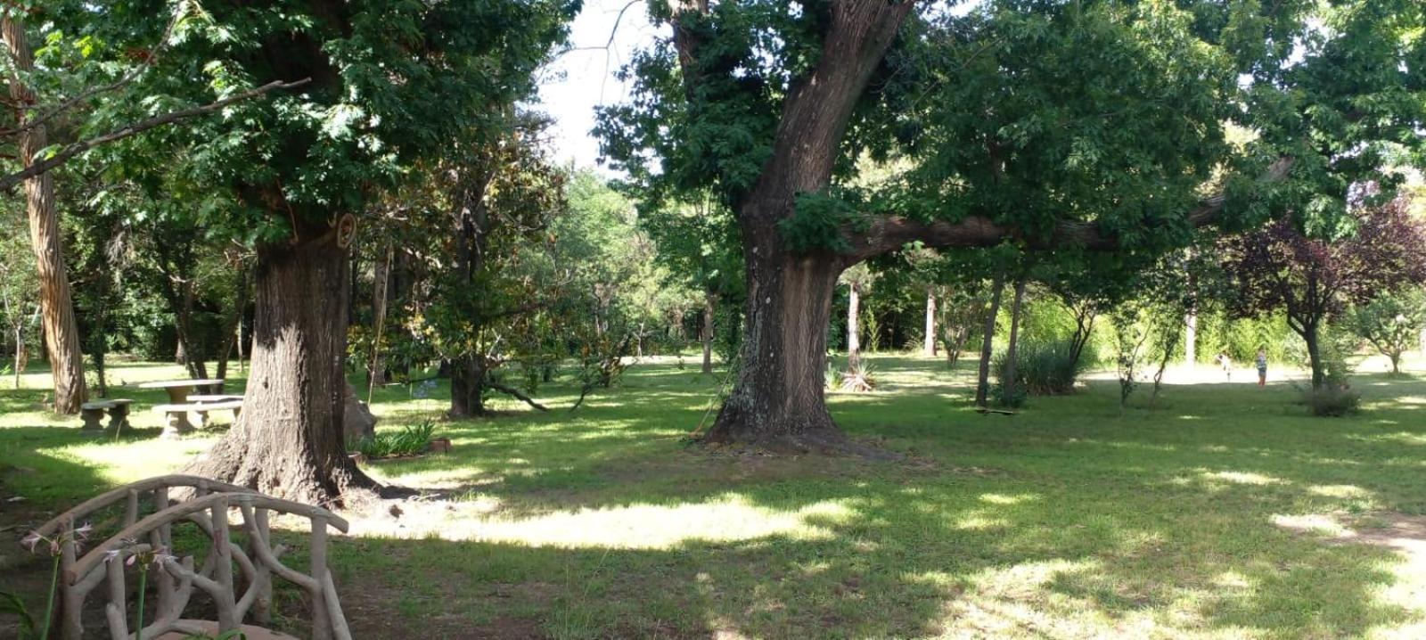 Cabana En Quinta La Aurora مينا كلافيرو المظهر الخارجي الصورة