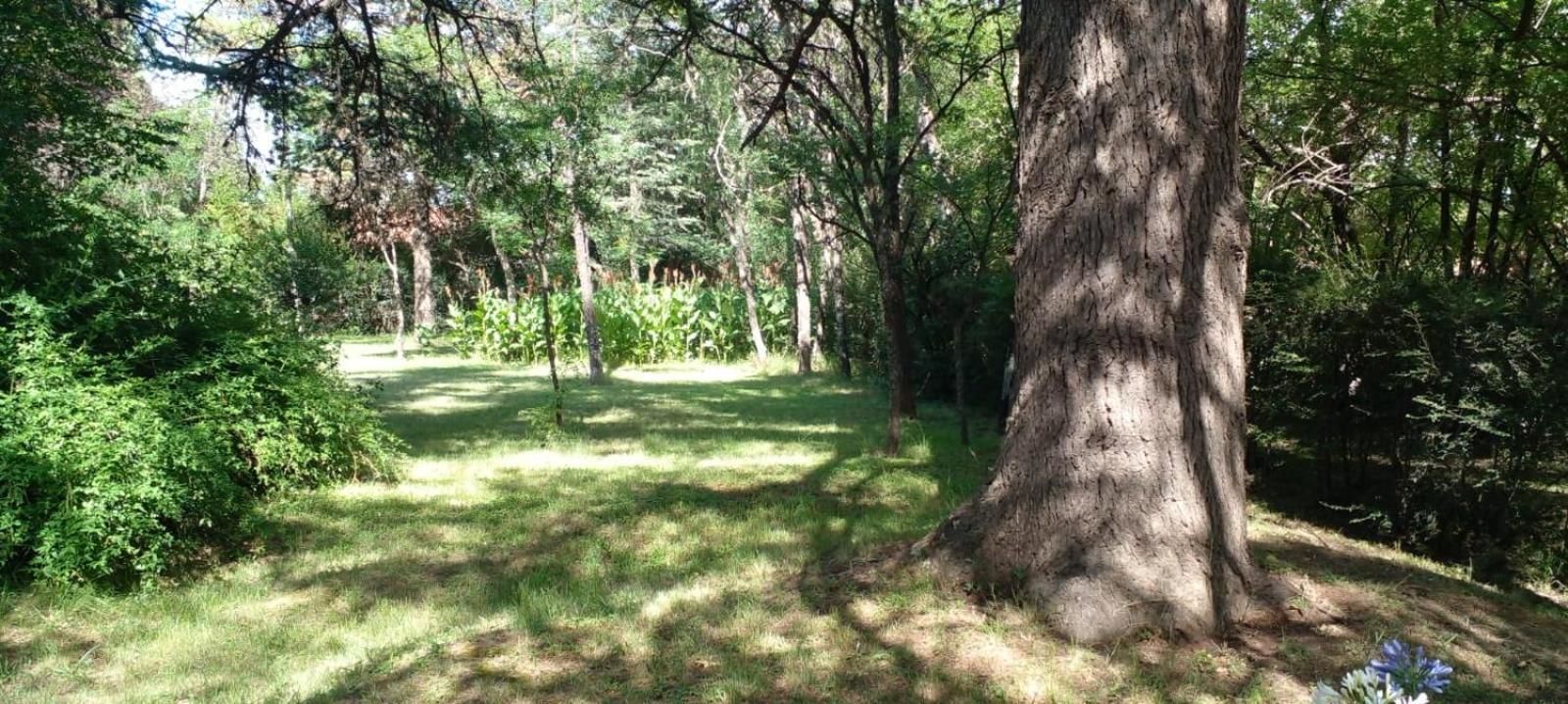 Cabana En Quinta La Aurora مينا كلافيرو المظهر الخارجي الصورة