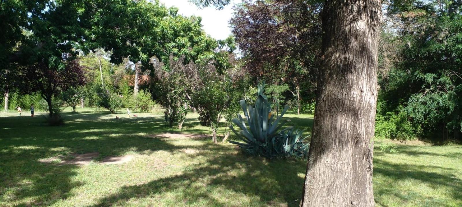 Cabana En Quinta La Aurora مينا كلافيرو المظهر الخارجي الصورة