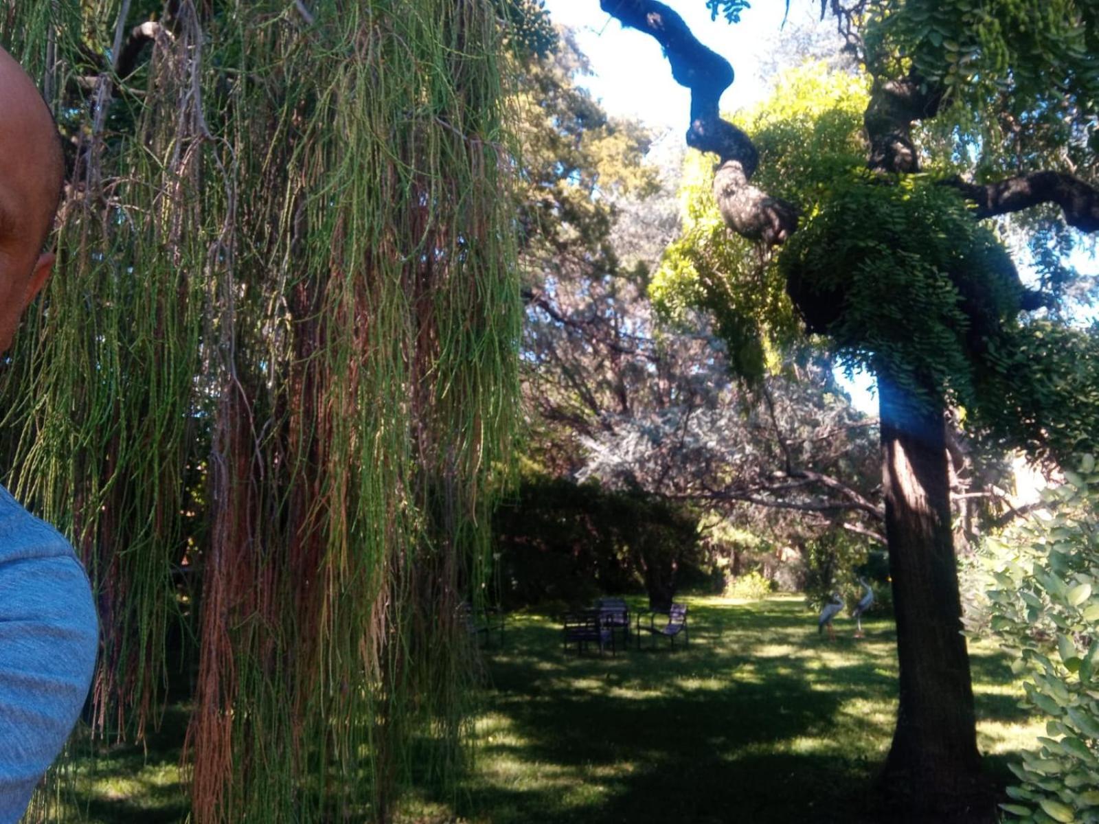 Cabana En Quinta La Aurora مينا كلافيرو المظهر الخارجي الصورة